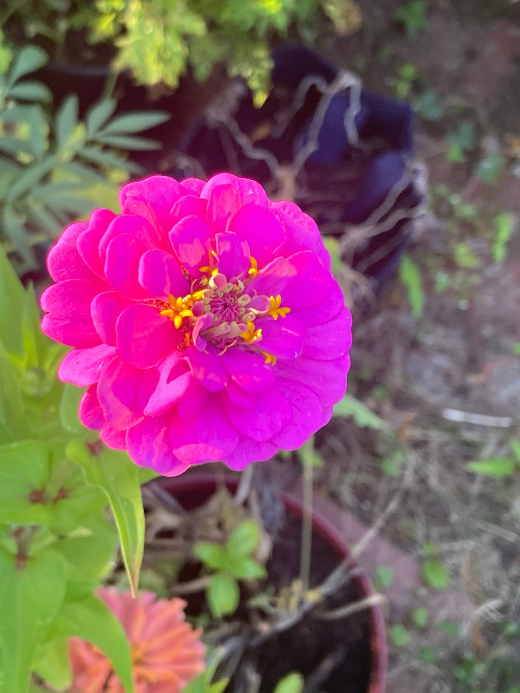 There is nothing like expressing&nbsp;creativity.